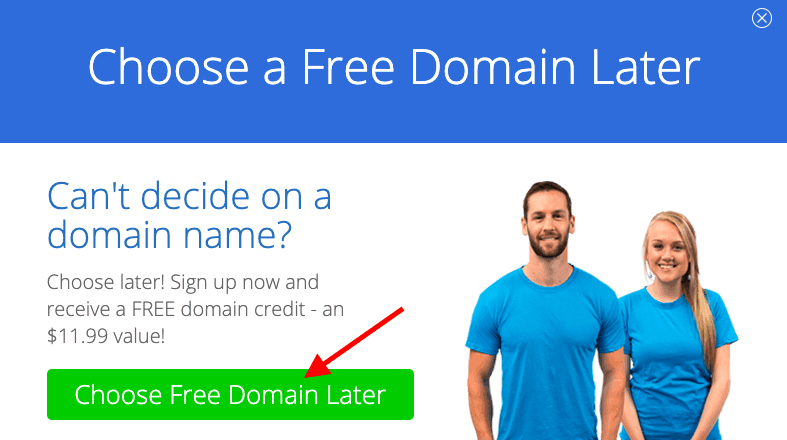 choose a free domain later 
